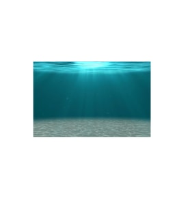 Kanki Pet KP7045006 Akvaryum Arka Fon Yapıştırma 70 x 45 CM