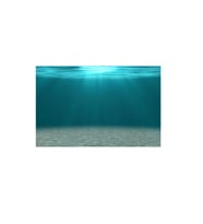 Kanki Pet KP7045006 Akvaryum Arka Fon Yapıştırma 70 x 45 CM