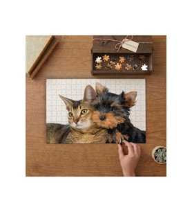 Kedi Köpek Dostluğu - Sevimli Evcil Hayvanlar Tasarımı 240 parça Ahşap Puzzle Ahşap Kutuda MP02595
