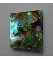 YAĞLI BOYA TAVUSKUŞU KANVAS TABLO 40x40cm (Karışık)