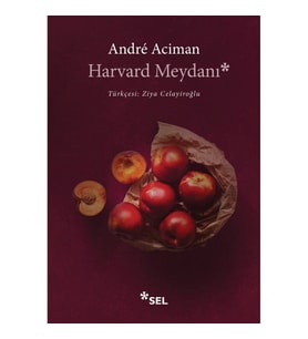 Harvard Meydanı