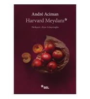 Harvard Meydanı
