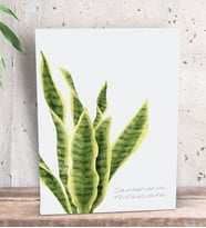 BK Gift Green Plant Tasarımlı Dekoratif Mini Kanvas Tablo 15x20cm-3