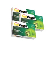 3 Kutu Okaliptüs Mentol Ve Nane Aromalı Bitkisel Beedrops 24 Adet X 3 Pastil Menthol Okaliptus