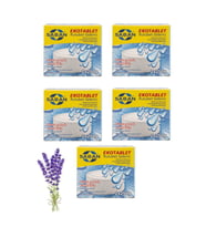 Nem Alıcı Rutubet Giderici Yedek Tablet 5'li 2 x 250 Gram Lavanta