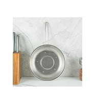 ARYILDIZ S/S PROTOOLS KULPLU SUZGEC 24CM