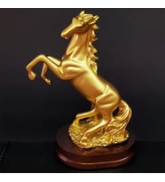 Şaha Kalkan Gold Renk At Biblosu