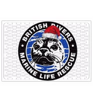 Marine Life Rescue Puzzle 240 Parça Yapboz