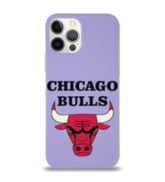Apple iPhone 12 Pro  Lansman Kılıf Chicago Bulls Tasarımlı Altı Kapalı İçi Kadife Kaplı  Kapak (Şeffaf)