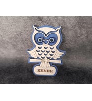 Magnet Baykuş Hayvan Nazar Boncuk Buzdolabı Süsü Ahşap Magnet Mıknatıslı Hediyelik Eşya