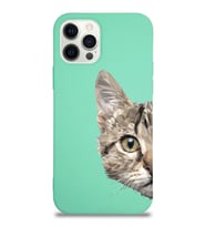 Apple iPhone 12 Pro Uyumlu Lansman Kılıf Catface Tasarımlı Altı Kapalı İçi Kadife Kaplı  Kapak (Şeffaf)