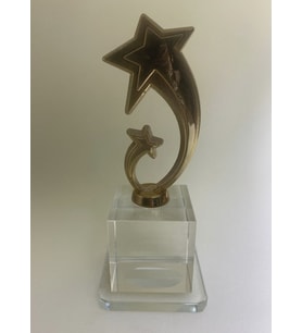 Kişiselleştirilebilir Yıldız Figürlü Ödül (Gold)