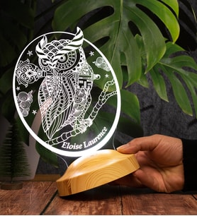 Baykuş Kişiye Özel Led Lamba, Baykuş Tasarımlı 3D Gece Lambası, Baykuş Temalı Dekoratif Lamba, Baykuş Şekilli Hediye