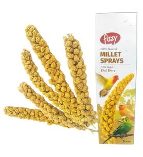 Fizzy Doğal Dal Darı