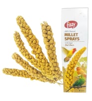 Fizzy Doğal Dal Darı