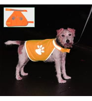 Gece Görüşlü Reflektör Kumaşlı Cırt Cırtlı Köpek Yeleği Medium (5680)
