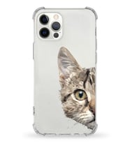 Apple iPhone 12 Pro Max Uyumlu Darbe Emici Antişok  Kapak Catface Tasarımlı Silikon Şeffaf Kılıf