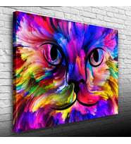 Renk Paletindeki Kedi Kanvas Tablo 50 x 70