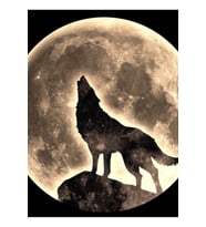 Uluyan Kurt, Dolunay, Dolunay, Vahşi, Köpek, Kurtlar Tablo Ahşap Poster Dekoratif