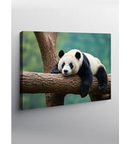 Kanvas Tablo Ağacın Üstünde Panda
