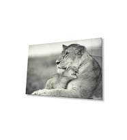Aslan Cam Tablo 4mm Dayanıklı Temperli Cam (Çok Renkli)