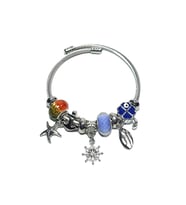 JTAW24ÇEB1442 JANTİ ÇELİK BİLEKLİK - PANDOORANIN CHARMLARI SILVER RENK KARARMAZ