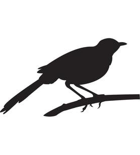 Folyo Sticker Arı Kuşu 70cm Uzunluk (Karışık)