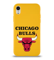 Apple iPhone XR Uyumlu Lansman Kılıf Chicago Bulls Tasarımlı Altı Kapalı İçi Kadife Kaplı  Kapak (Şeffaf)