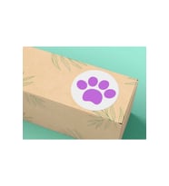 Pembe Paw Sticker Kedi Köpek Pati Pençe Beyaz Arkaplan Yuvarlak Mat Etiket Rosa 3 cm - 200 Adet