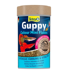 Tetra Guppy Colour Mini Flakes Pul 100 ml Lepistes Yemi Skt :03/2029 Orjinal Anadolu Pet Ürünüdür