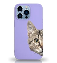 Apple iPhone 13 Pro Max Uyumlu Lansman Kılıf Catface Tasarımlı Altı Kapalı İçi Kadife Kaplı  Kapak (Şeffaf)