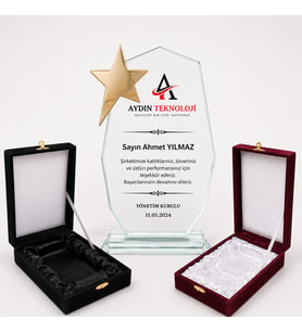 Kristal  kadife kutulu  Dokuzgen Cam Kristal Plaket yıldızlı-istenilen baskıyla