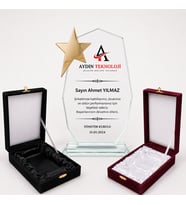Kristal  kadife kutulu  Dokuzgen Cam Kristal Plaket yıldızlı-istenilen baskıyla