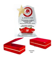 Kristal  kadife kutulu  Dokuzgen Cam Kristal Plaket yıldızlı-istenilen baskıyla