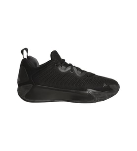 Adidas Initiation Erkek Basketbol Ayakkabısı JR9935 (Siyah)
