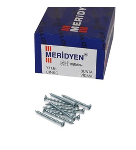 Meridyen Sunta Vidası 4.0x35mm 500 Adet (Gümüş)
