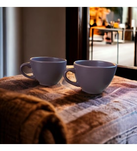 WPAWZ Stoneware 2'li Çay Fincanı 250cc