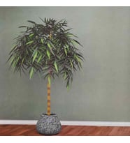 ANKAWALL PİCASSO BOYANABİLİR DUVAR KAĞIDI 742205 (26.5m2)