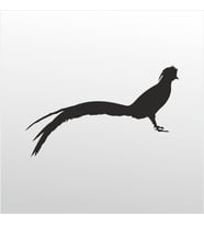 Folyo Sticker Anka Kuşu 160cm Uzunluk (Karışık)