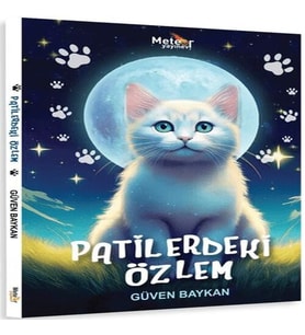 Patilerdeki