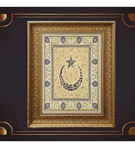 Gold Altın Kalın Çerçeveli Paspartulu Tablo s1799