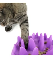 Catch Etkileşimli Yavaş Kedi Besleyici