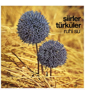 Ruhi Su Şiirler ve Türküler - Plak