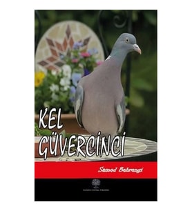 Kel Güvercinci