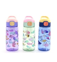Renkli Pipetli Suluk 600 Ml