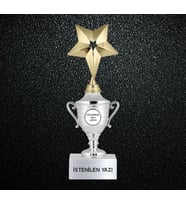 Yıldız Detaylı Kişiselleştirilebilir Kupa (Silver)