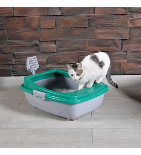 Karamel Izgaralı Açık Kedi Tuvaleti Çeşitli Renklerde + Kürek Hediyeli