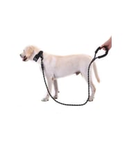 Köpekler İçin Gezdirme Tasması Reflektörlü 130 cm Halat Orta ve Büyük Boy Köpekler İçin Siyah
