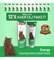Kısırlaştırılmış Kedi Paste 100 g - 12 Adet