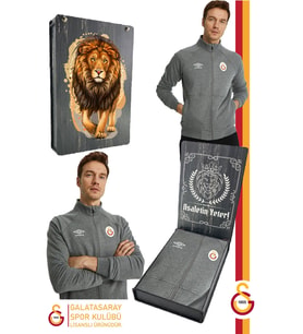 Galatasaray Orijinal Lisanslı Dik Yaka Fermuarlı Gri Sweat Gs Aslan Baskılı Hediyelik Ahşap Kutulu